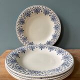 Set of 5 hollow plates Terre de Fer R&A Salins, model Palmes
