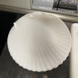Shellfish plates