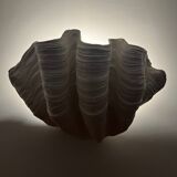Applique coquillage Axel Chay