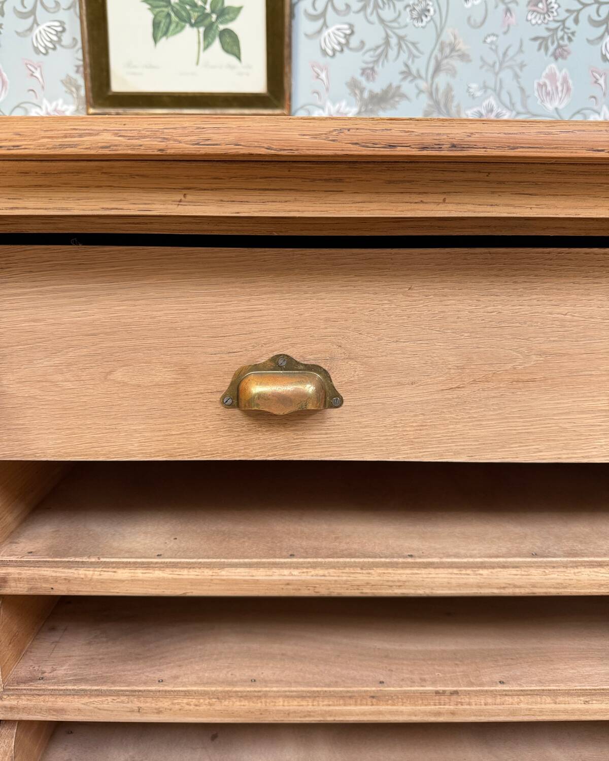 Oak plan cabinet / trade cabinet (renovated)