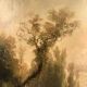 Paire d’huiles sur toile, paysages animés XIXe