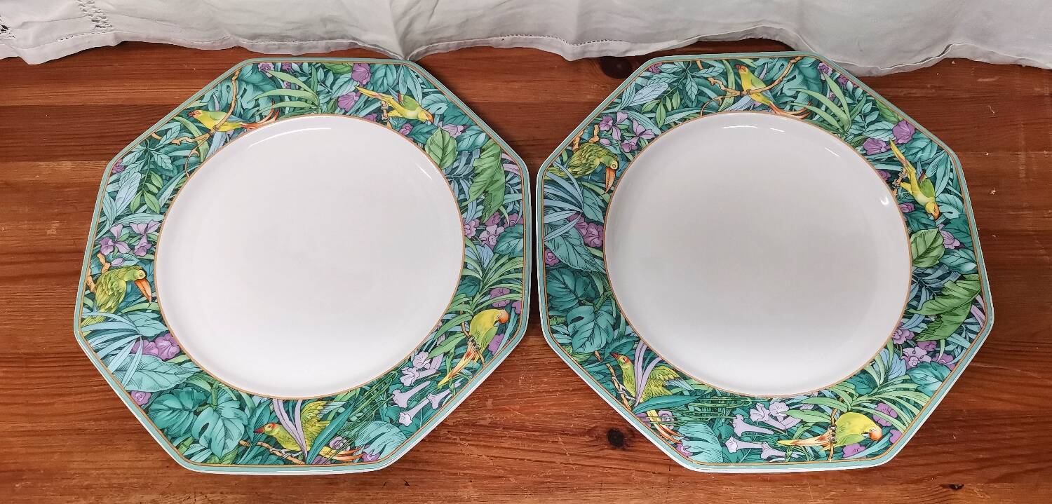 Villeroy & Boch dinner plates