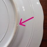 Flat plates ironstone St Amand Hamage 'Regency'