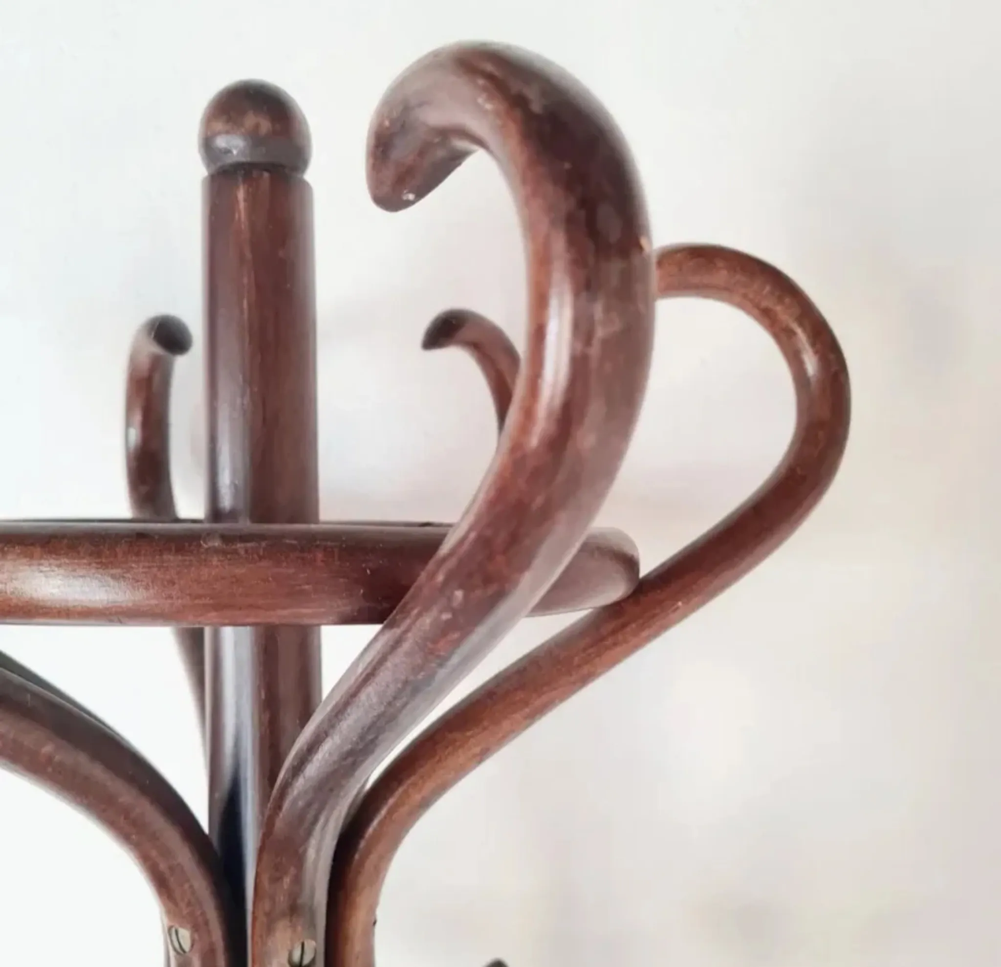 Antique curved wooden coat rack in the Thonet style, 1875.