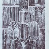 Old Millot illustration "Forest, forest trees"
