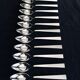 12 teaspoons/dessert silver robbe and berking house