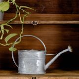 Factory locker cabinet, wood and green