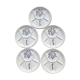 Plate set of 5 St Amand vintage Sologne model