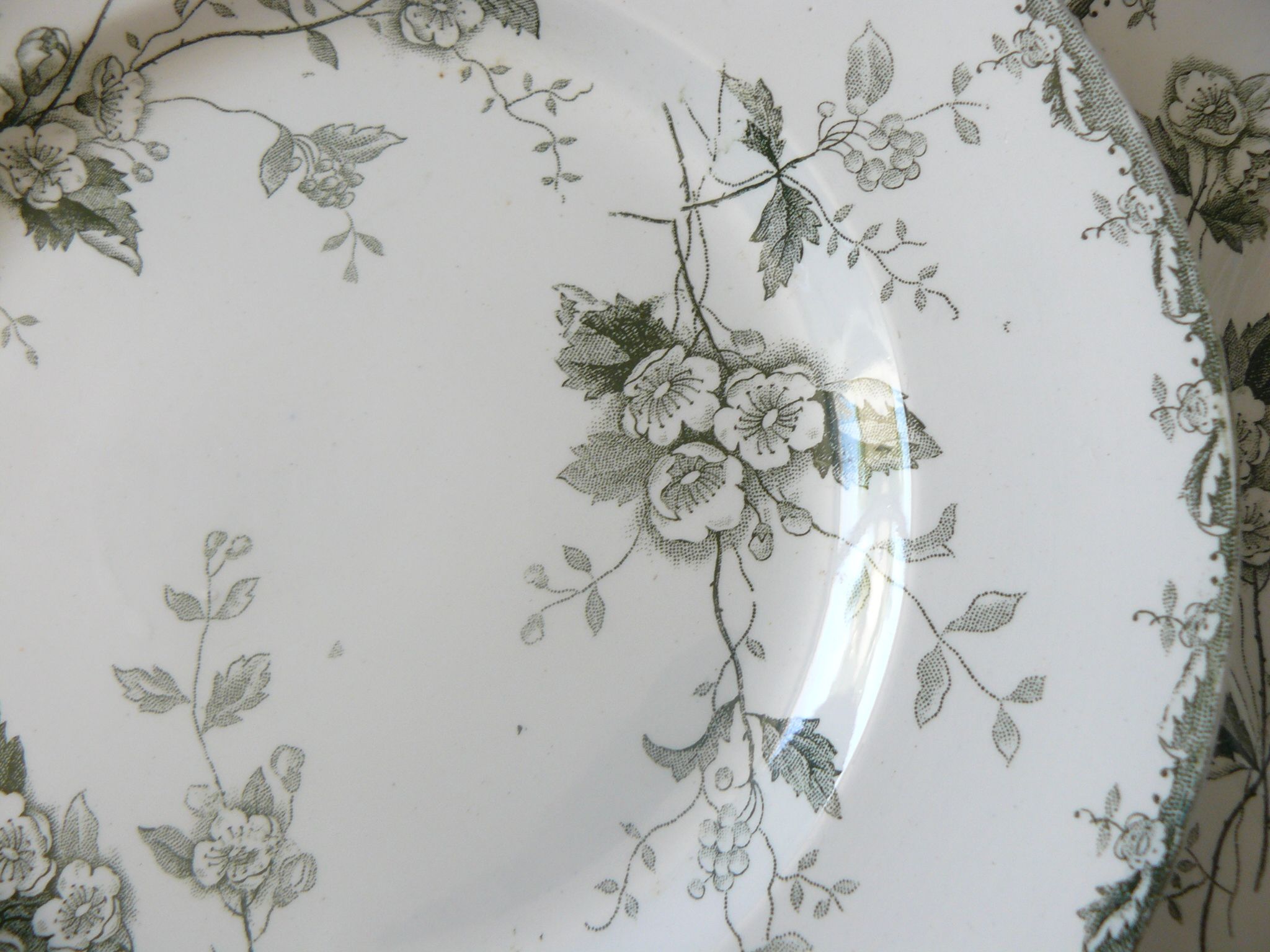 Lot of 6 plates flat model "Rosette" st Amand