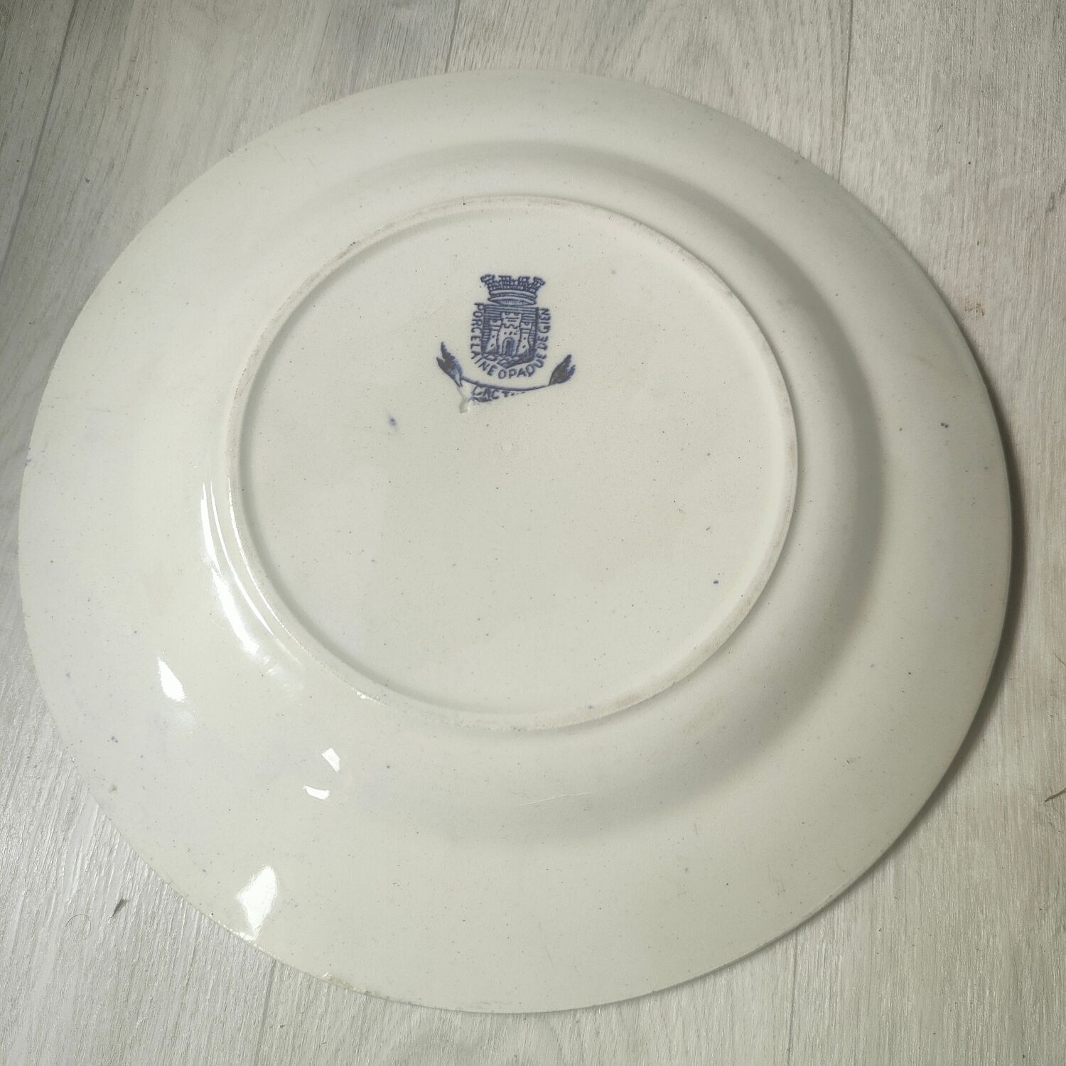 Porcelain plate gien