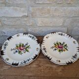 Ensemble de 2 anciennes assiettes motif floral peintes à la main