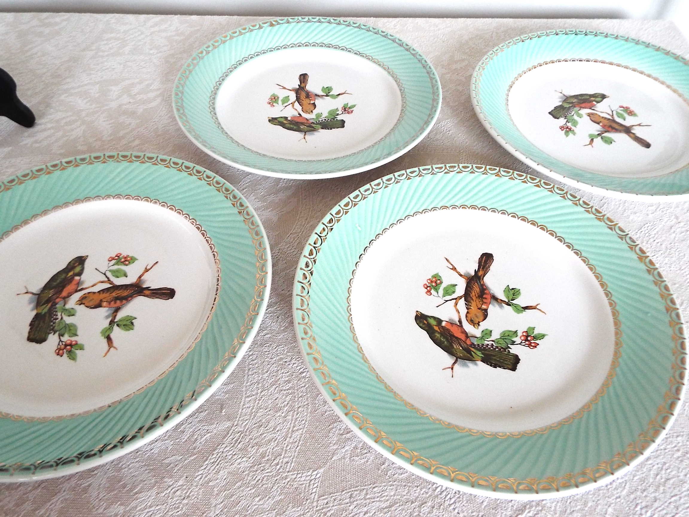 4 flat plates Birds