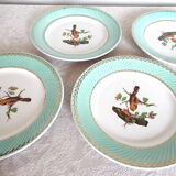 4 flat plates Birds