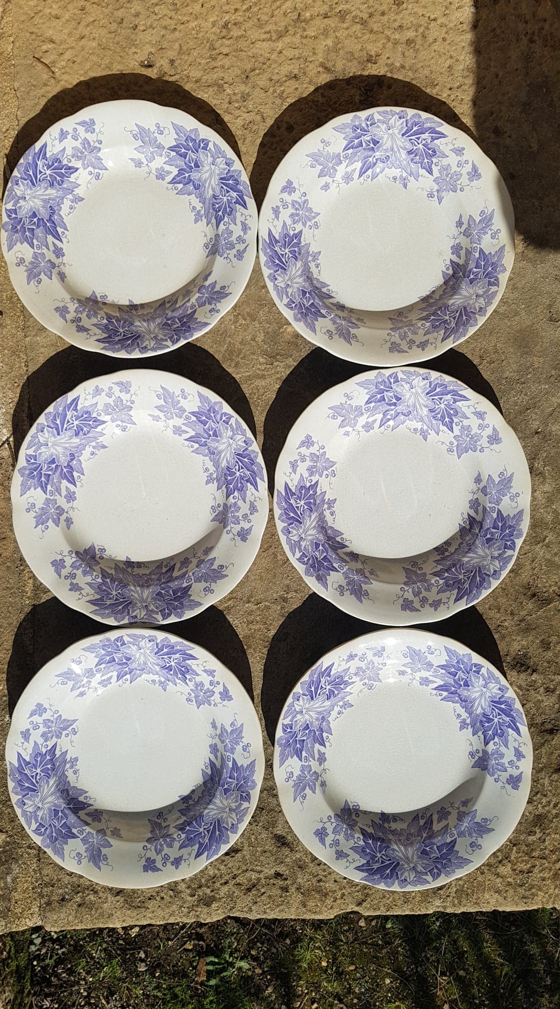 Set of 6 plates Sarreguemines model Bryonia