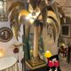 Palm lamp