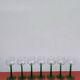 7 green Alsace wine glasses
