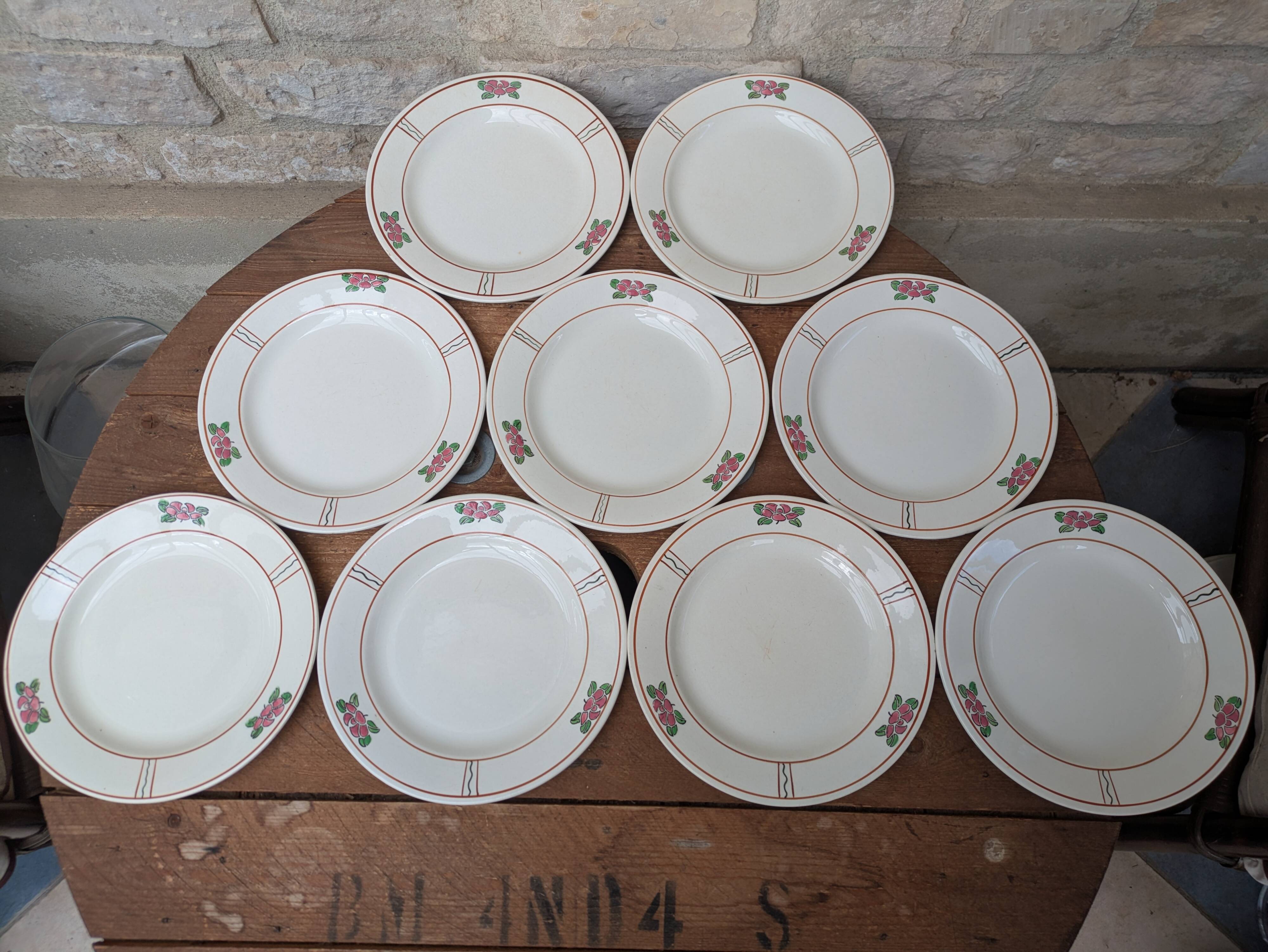 9 old flat plates in Salins ironstone model Nénuphar 24.5cm