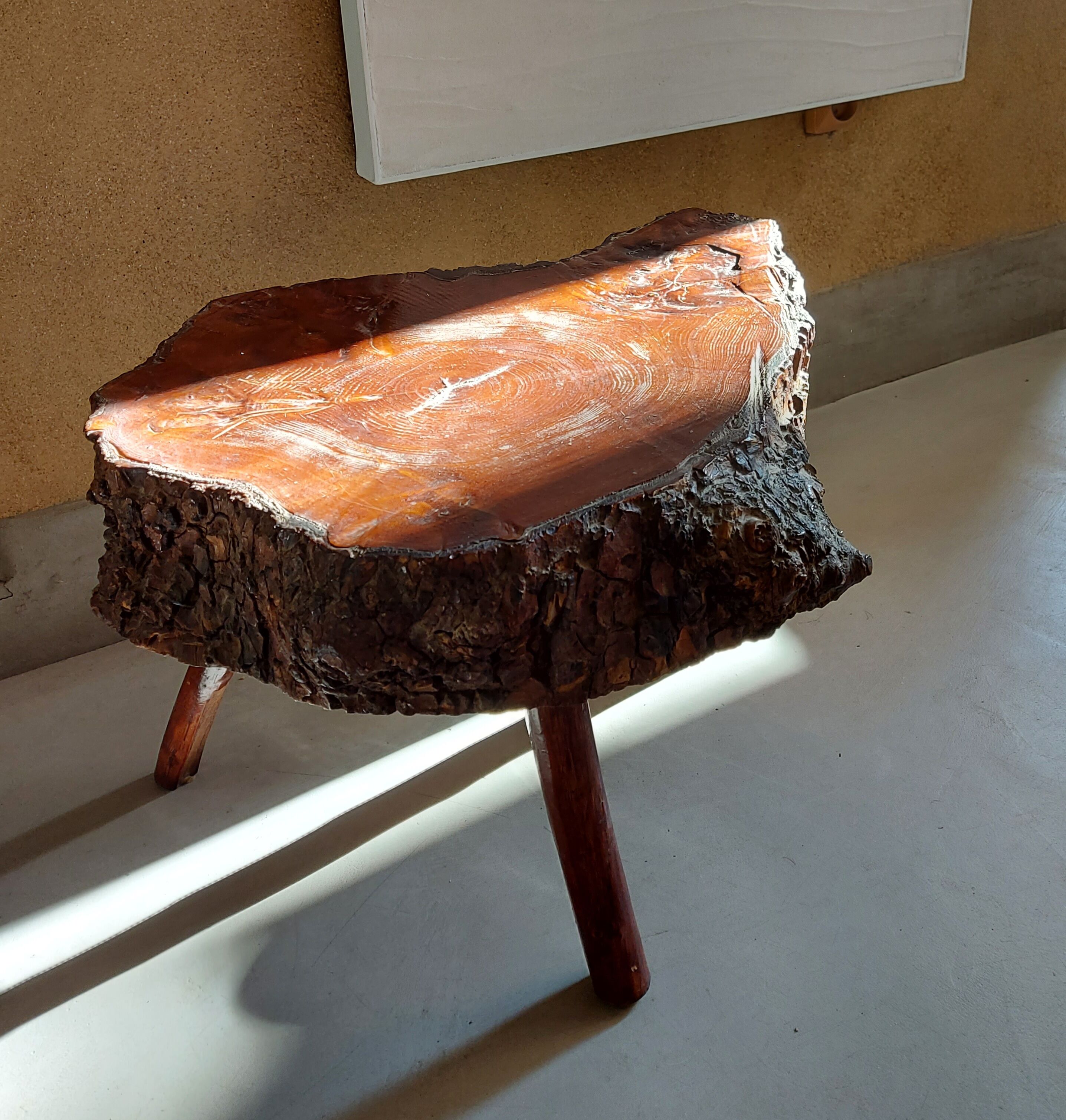 Vintage brutalist coffee table in elm magnifying glass