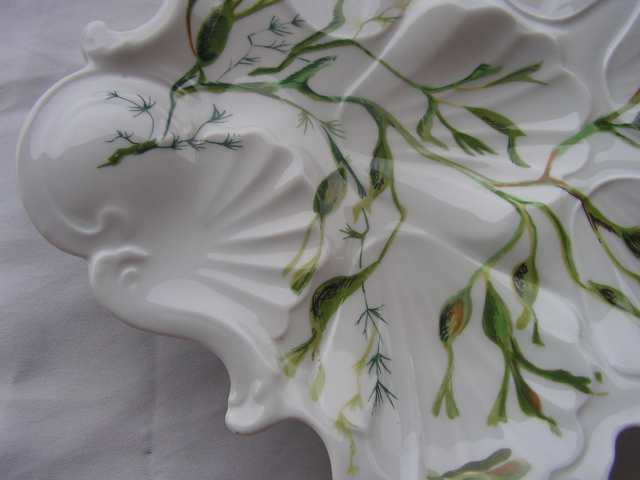 Scallop dish with seaweed decoration in ceramics