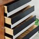 Library buffet U 458 black by Jiri Jiroutek for Interier Praha 1960