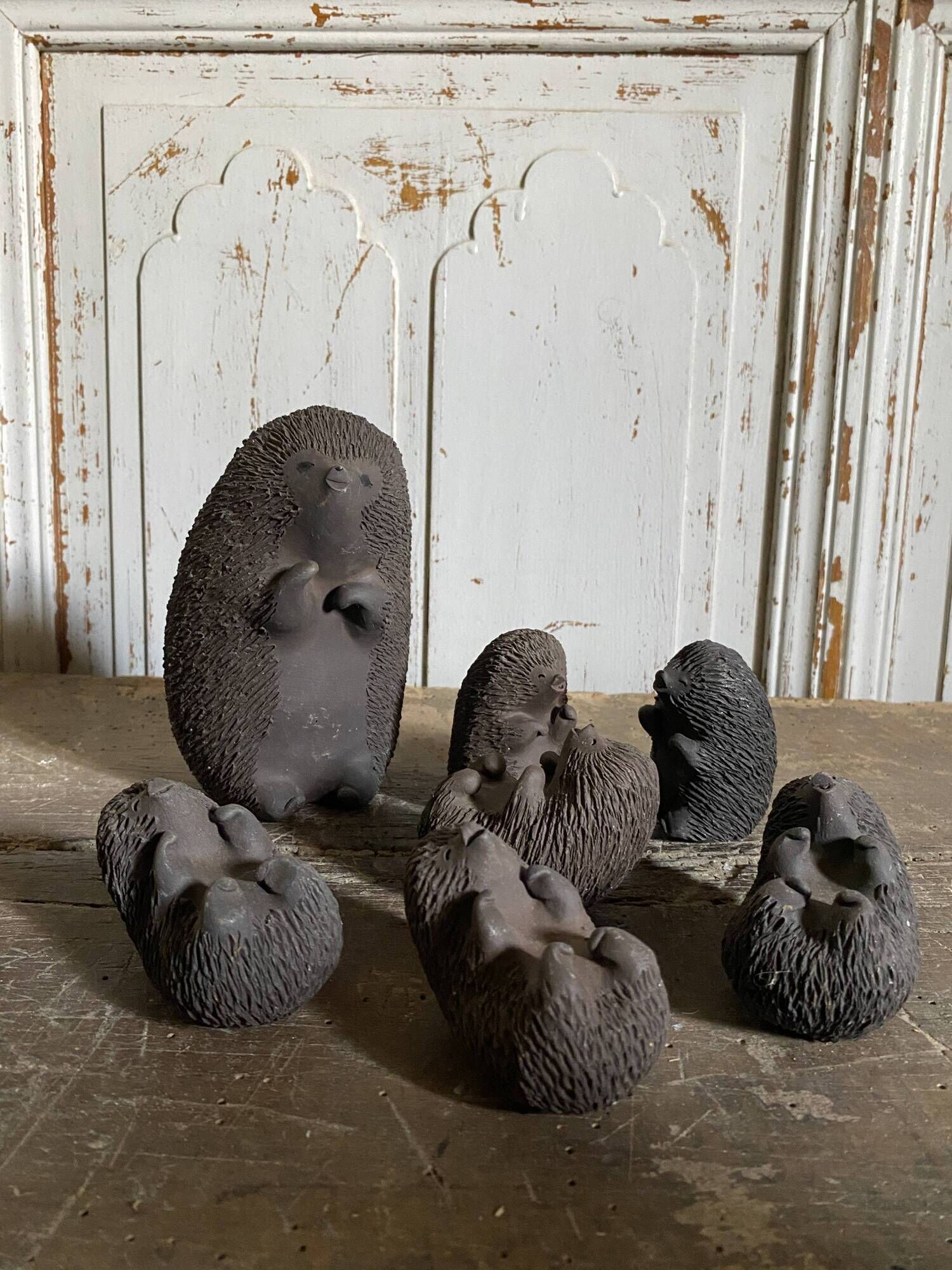 Danish hedgehogs by Ellen Karlsen