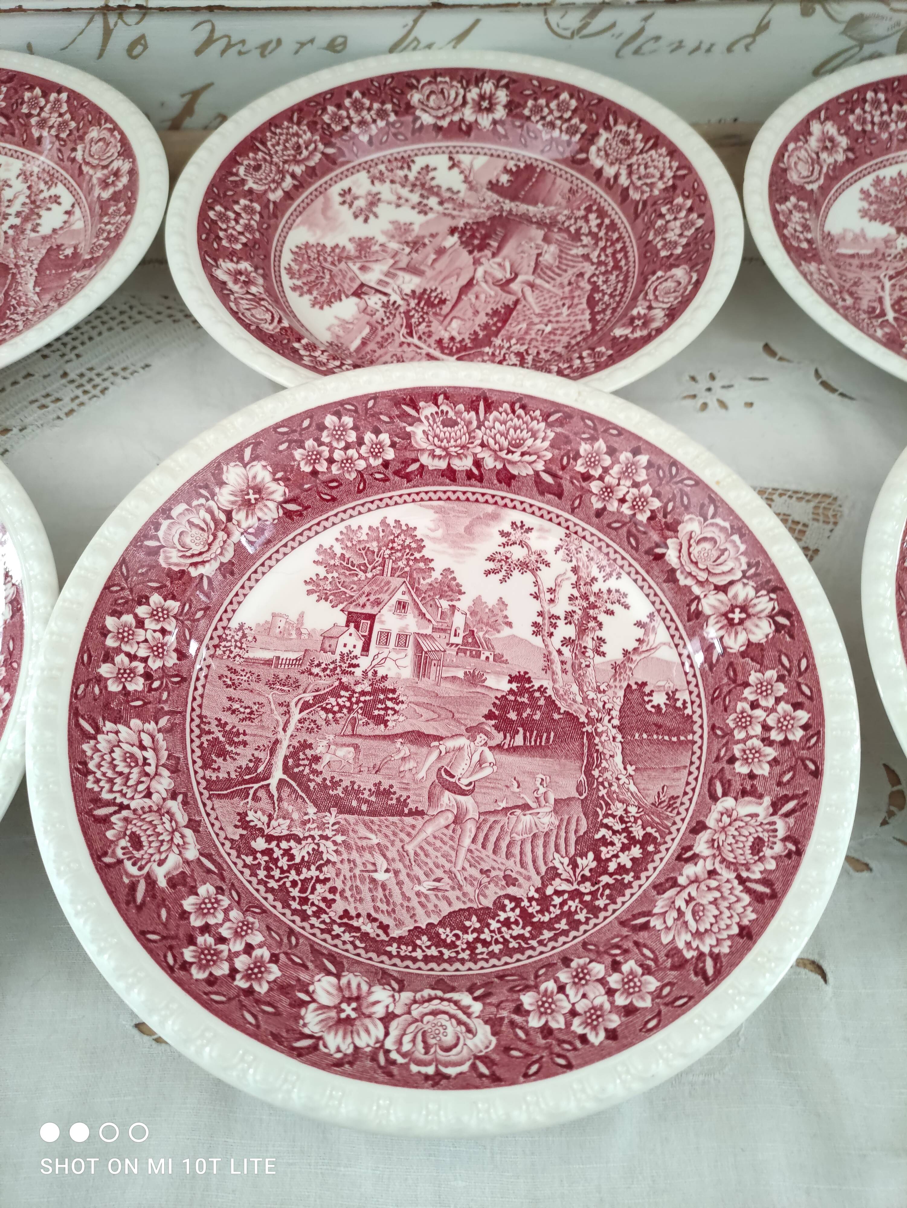 Set of 6 hollow plates in opaque porcelain Villeroy & Boch model Rusticana red English décor
