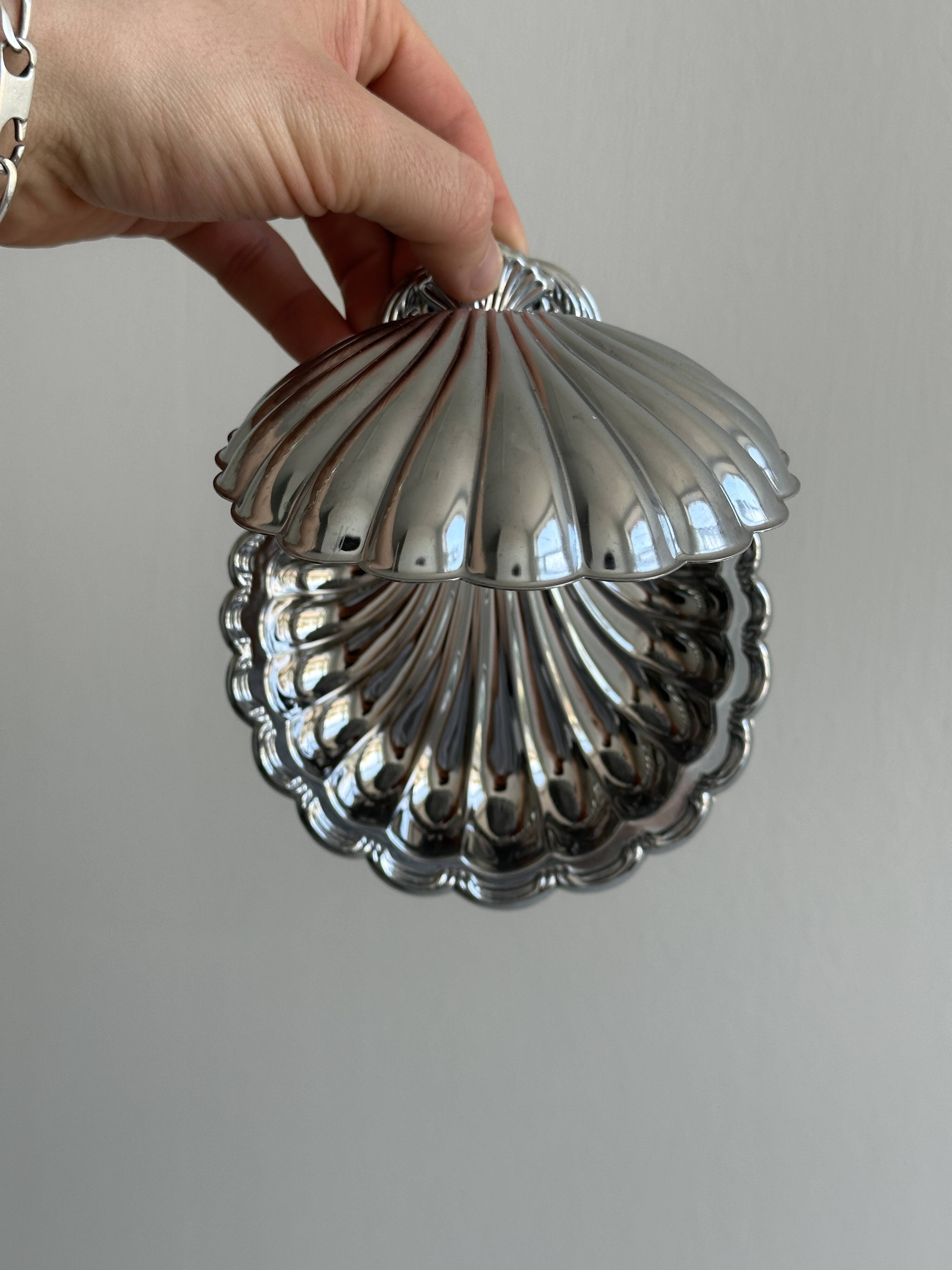 Shiny stainless steel shell bowl