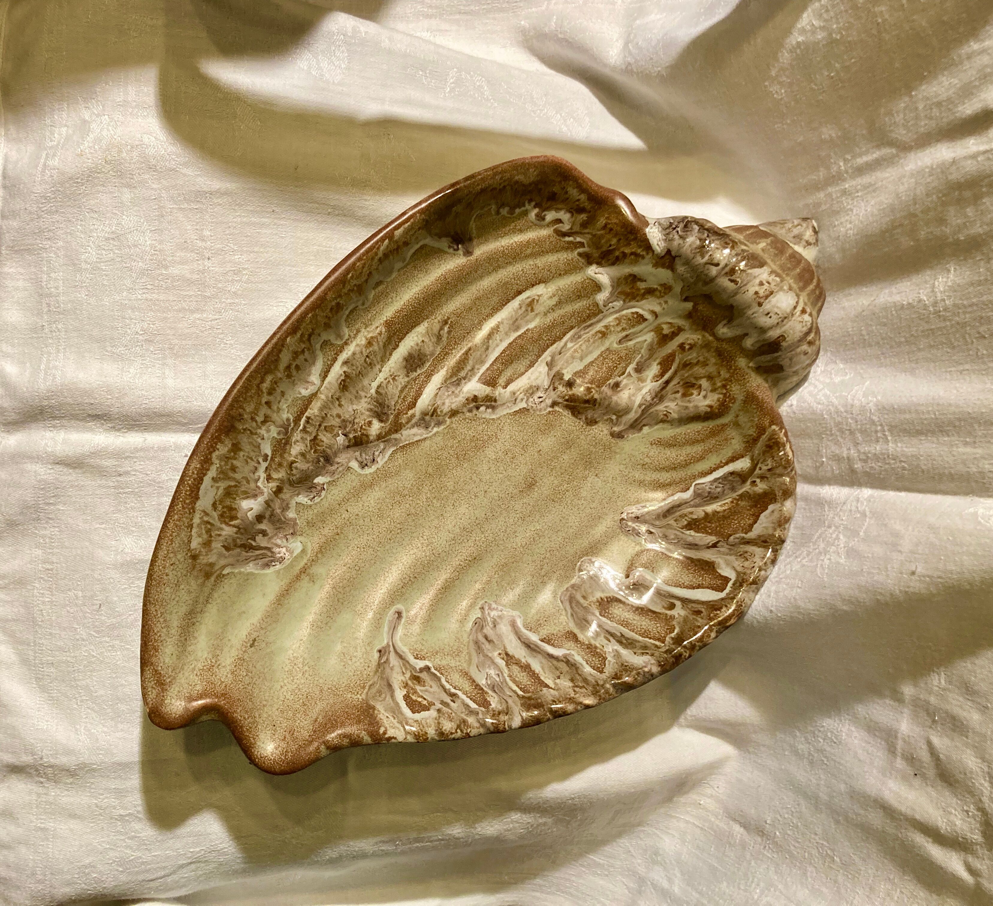 Shell fruit cup Vallauris