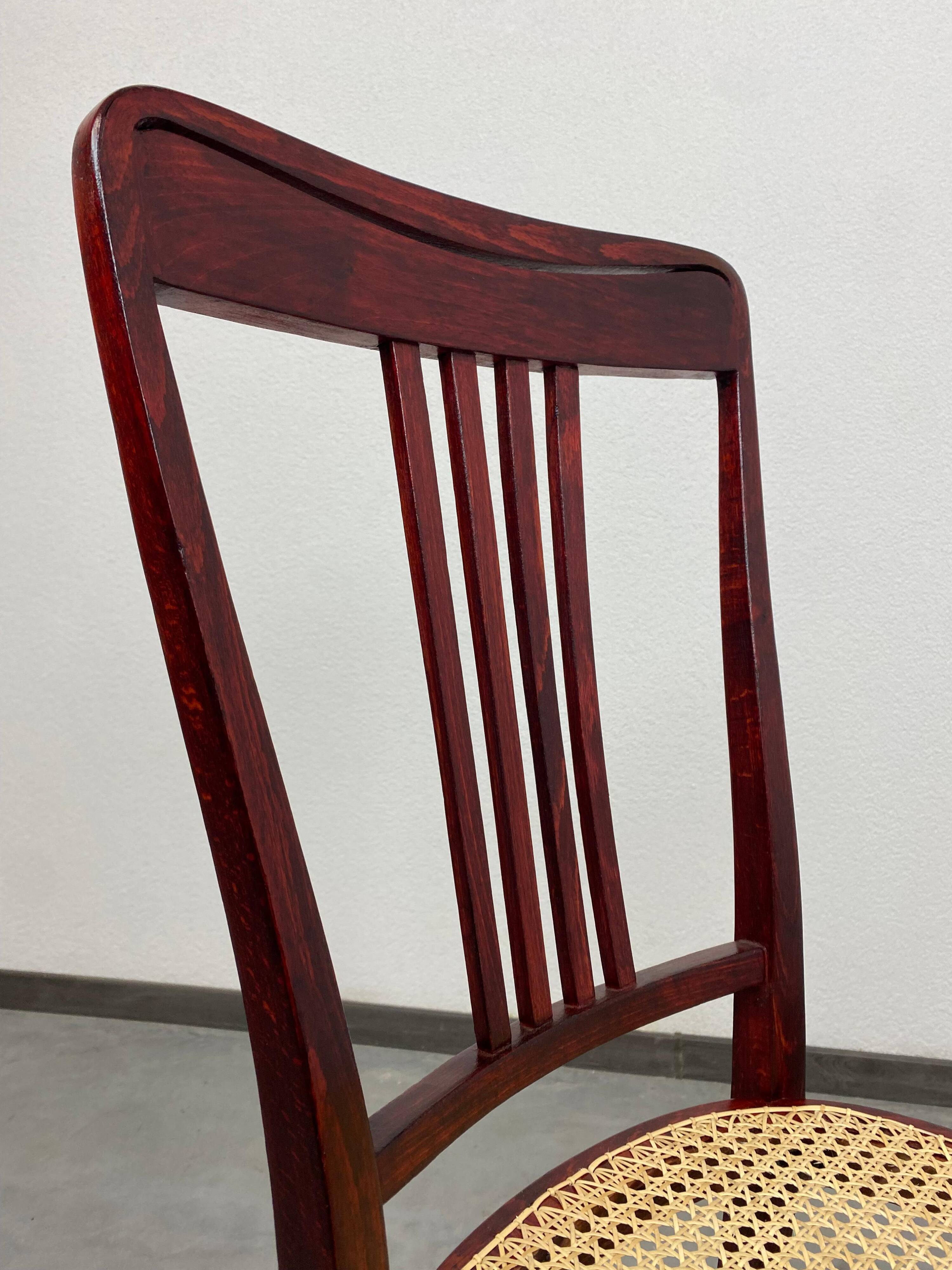 Secession dining chairs by Thonet