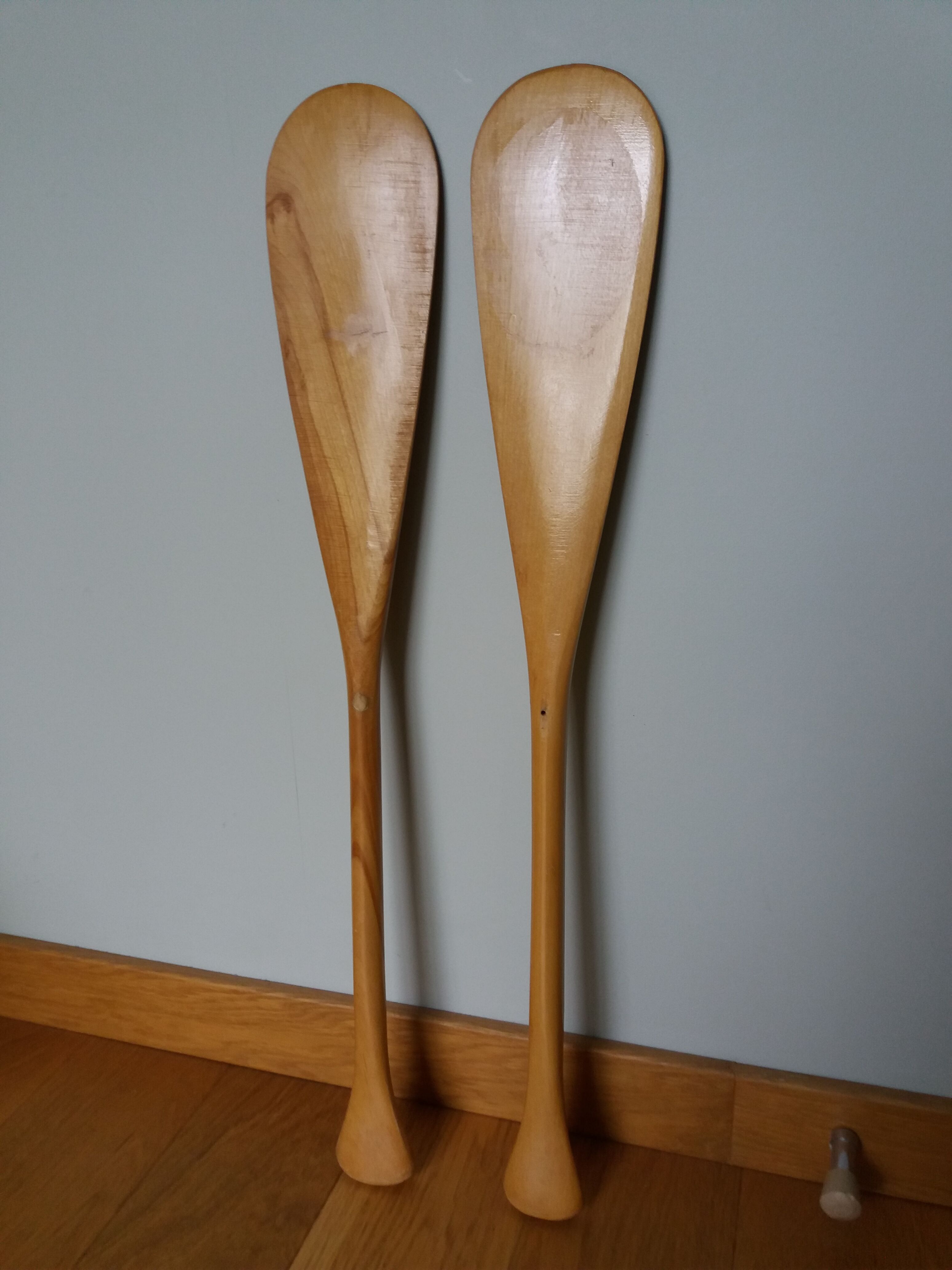 Paddles Native American rows