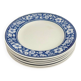 Assiettes à dessert vintage