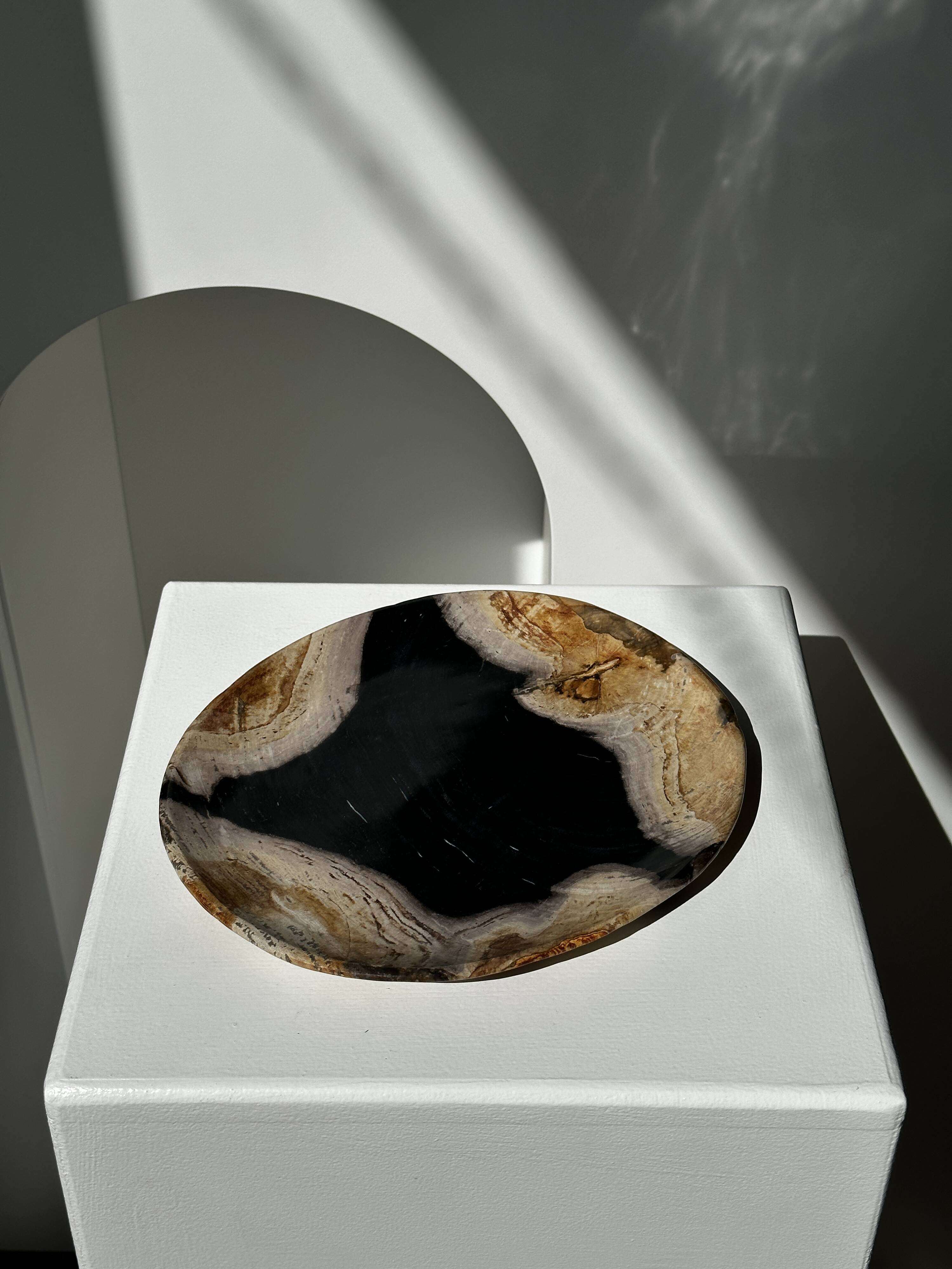 Empty pocket or dish in medium petrified wood