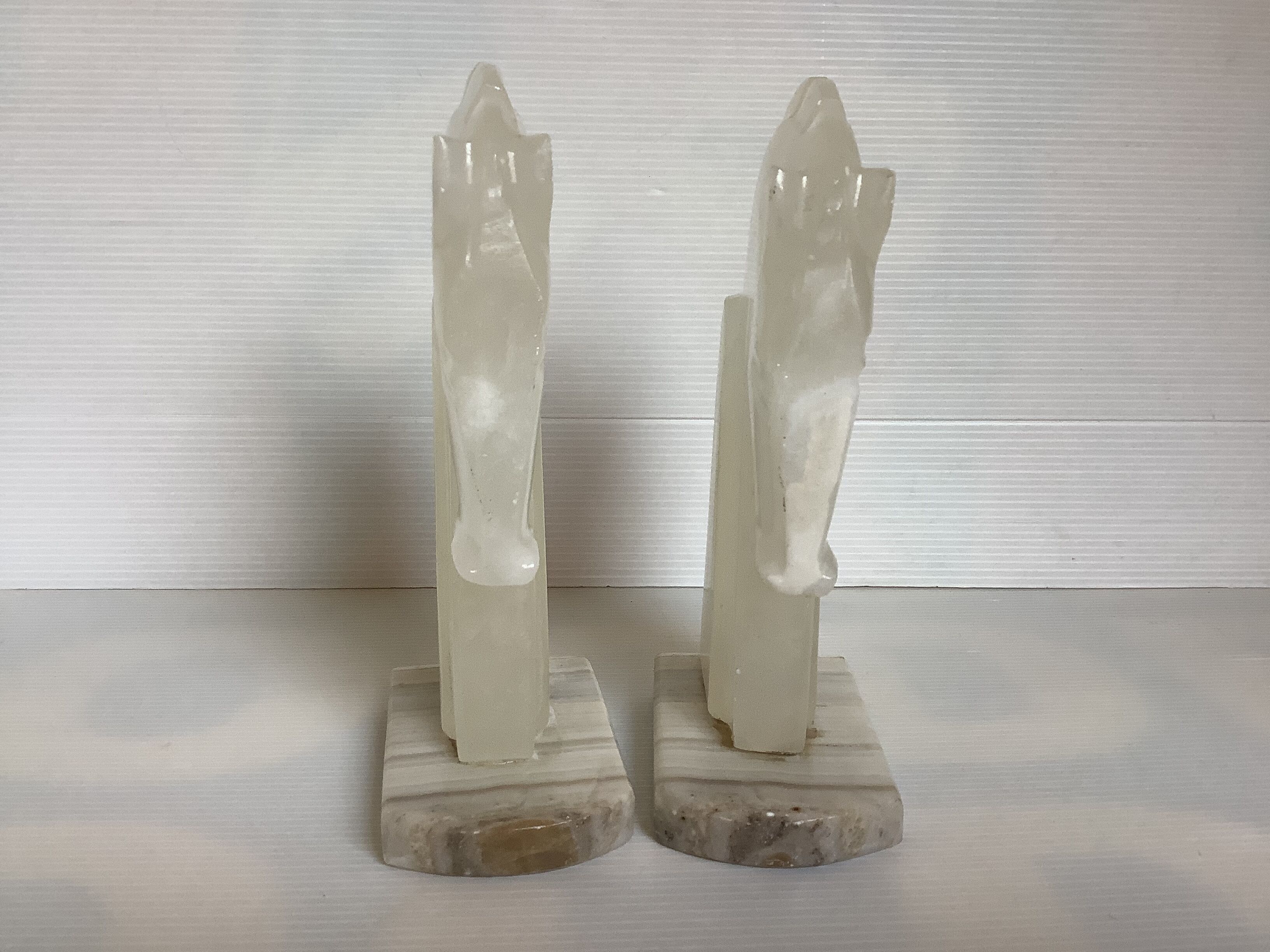 Pair of greenhouse books horses onyx