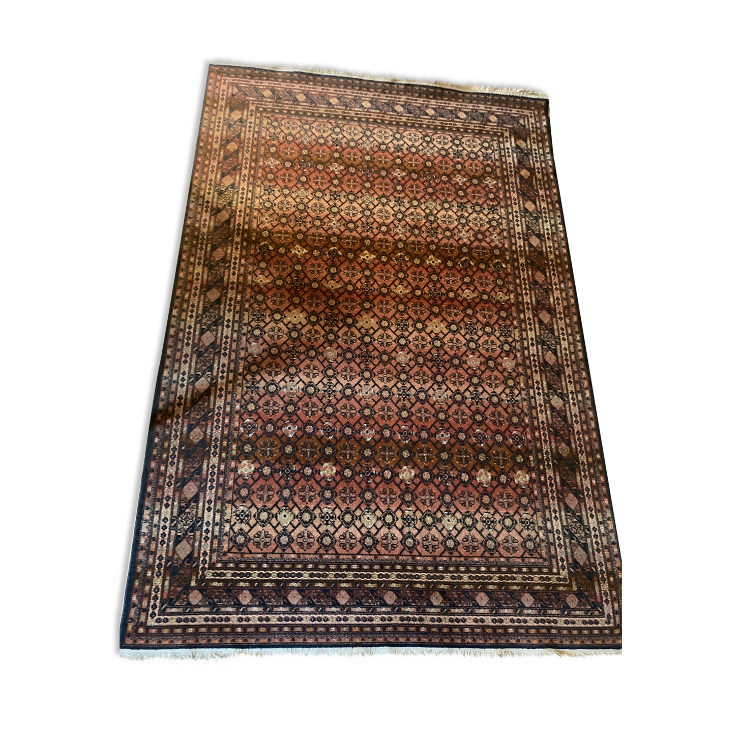 Silk wool rug 260x185cm
