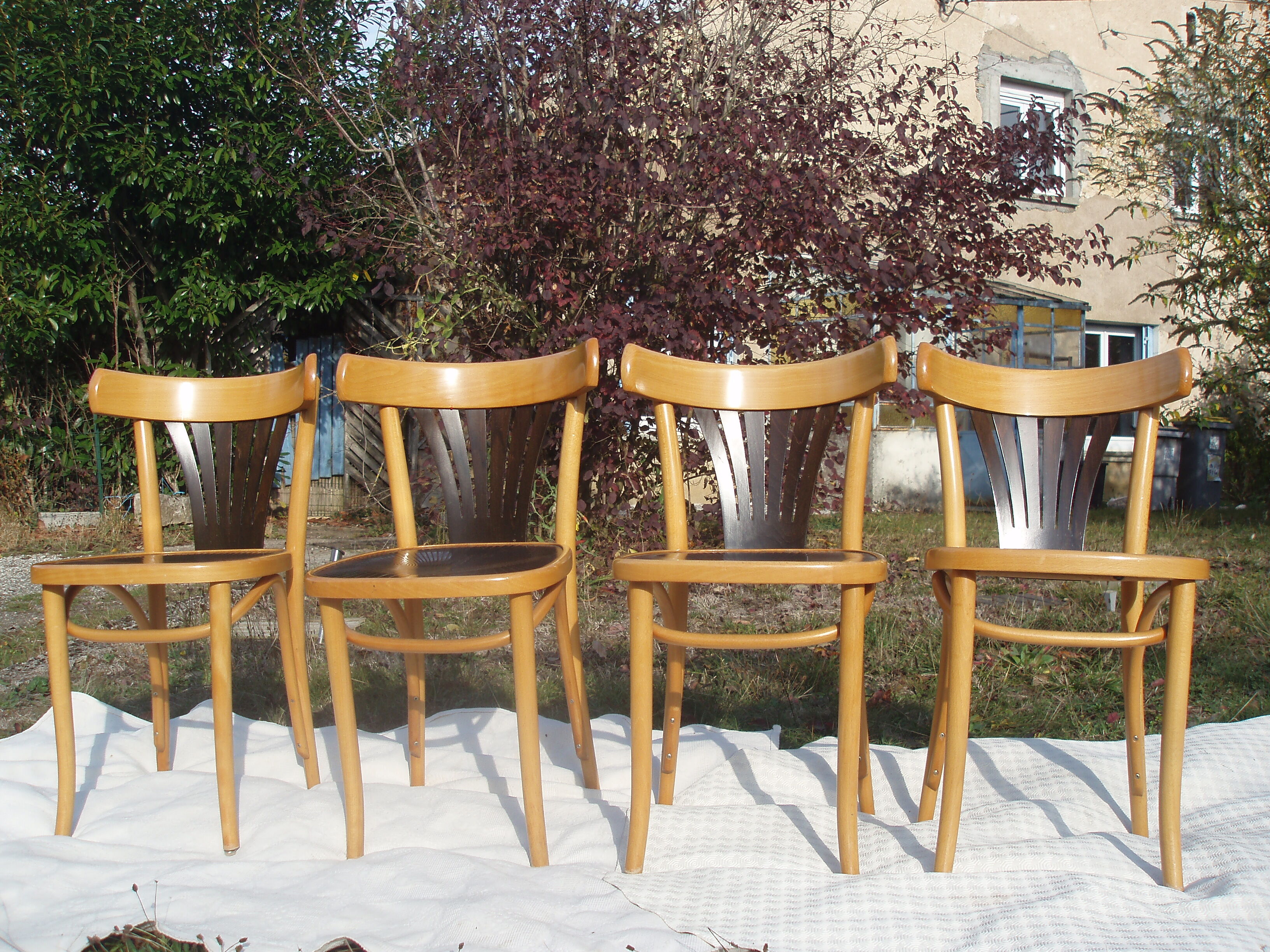 Set of 4 chairs wooden coffee multicore gold and black