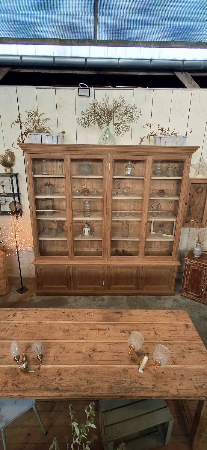 Grande vitrine ancienne de musée