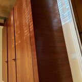 Vintage cabinet in palissandre