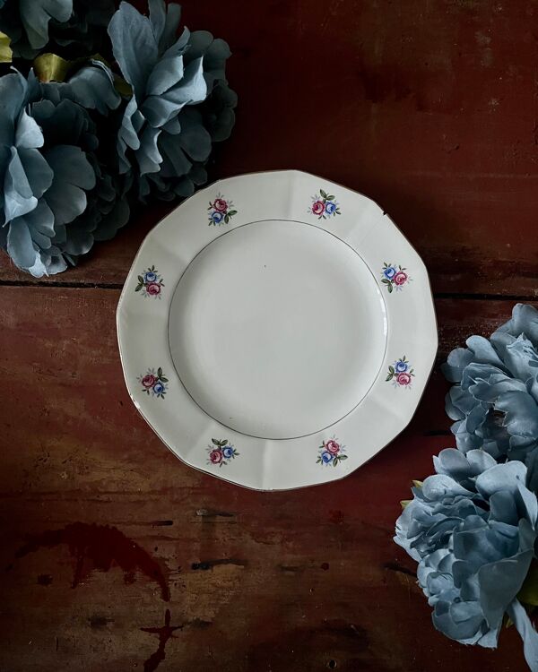 Assiettes et plat en véritable opaque Digoin Sarreguemines