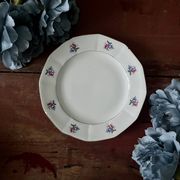 Assiettes et plat en véritable opaque Digoin Sarreguemines