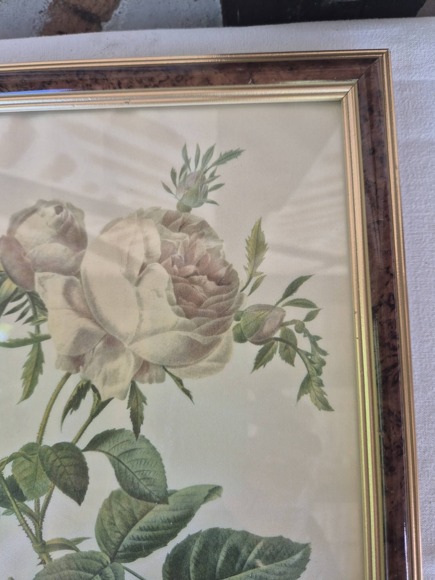 Redouté botanical white spirit roses painting