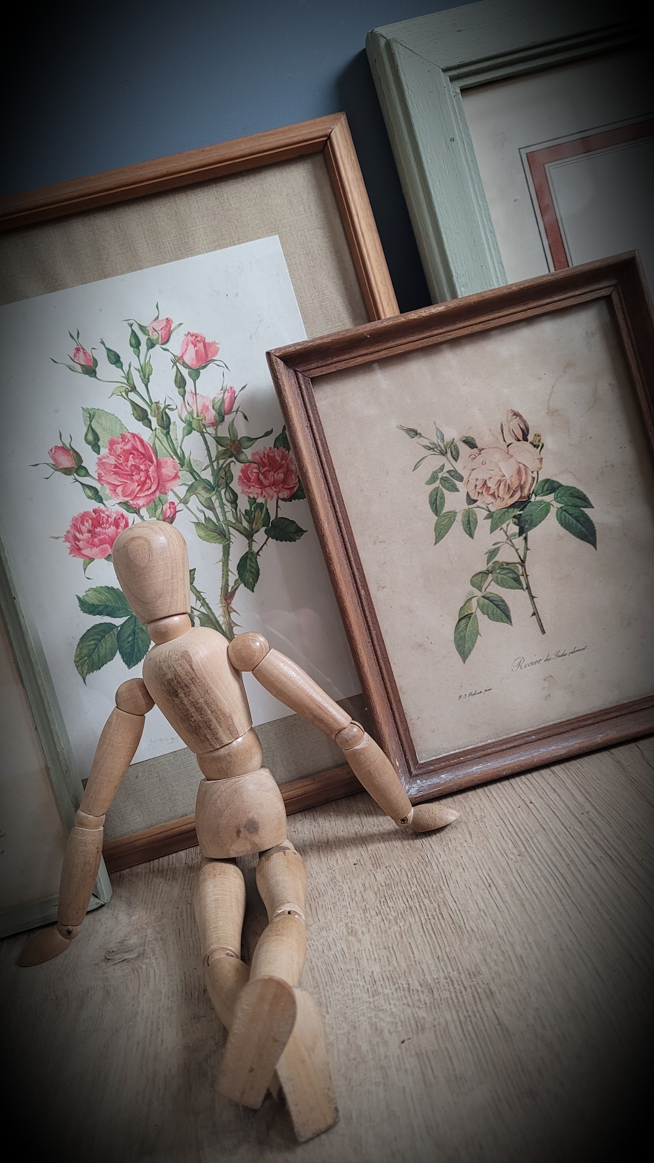 Litho Rose Eglantier