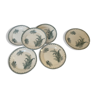 6 Flat plates St Amandinoise St Amand model Lily of the valley