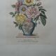 Lithographie par Prévost vase anglais