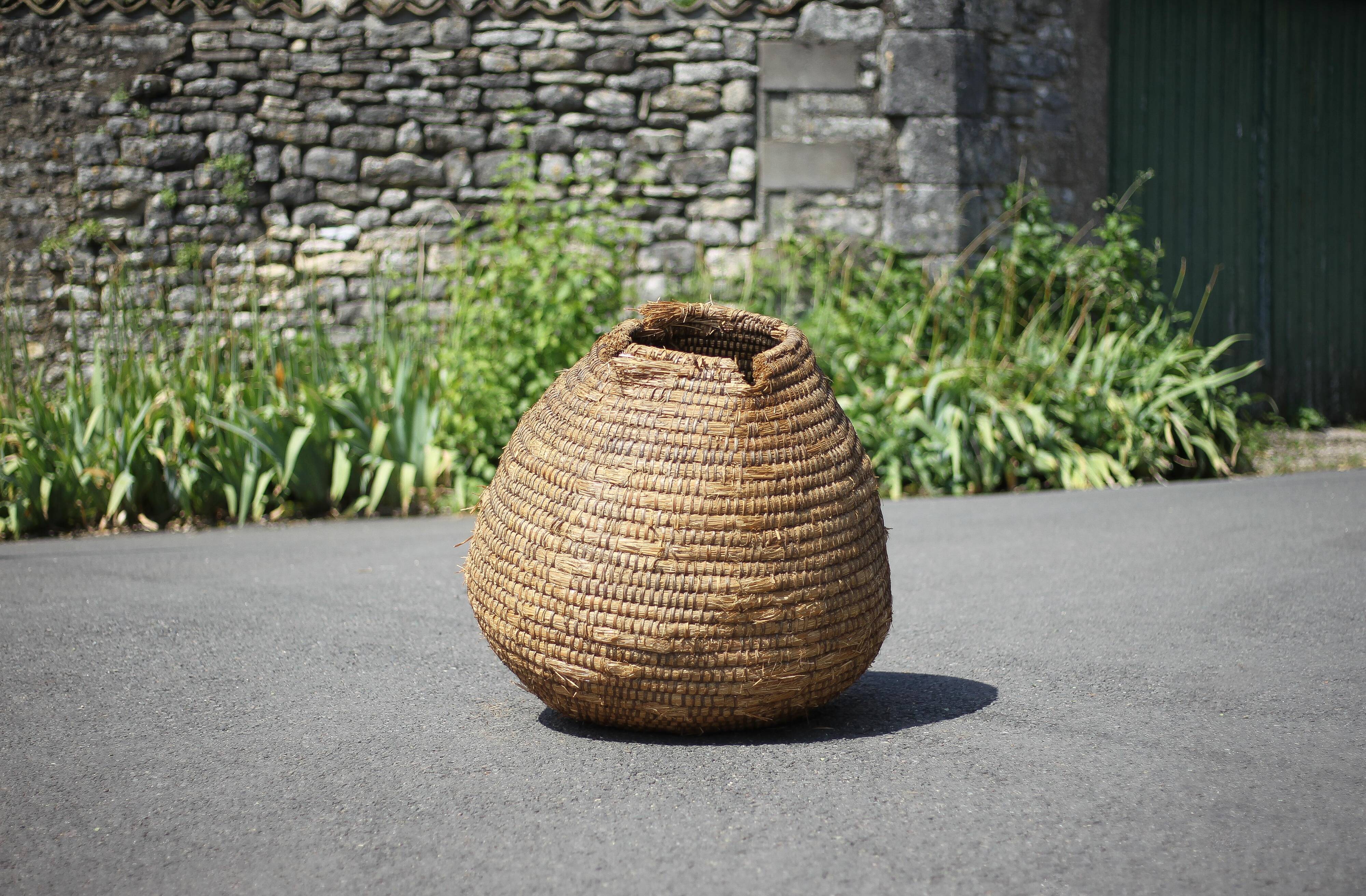Old basket, burgundy straw and bramble, woven basket, interior decoration