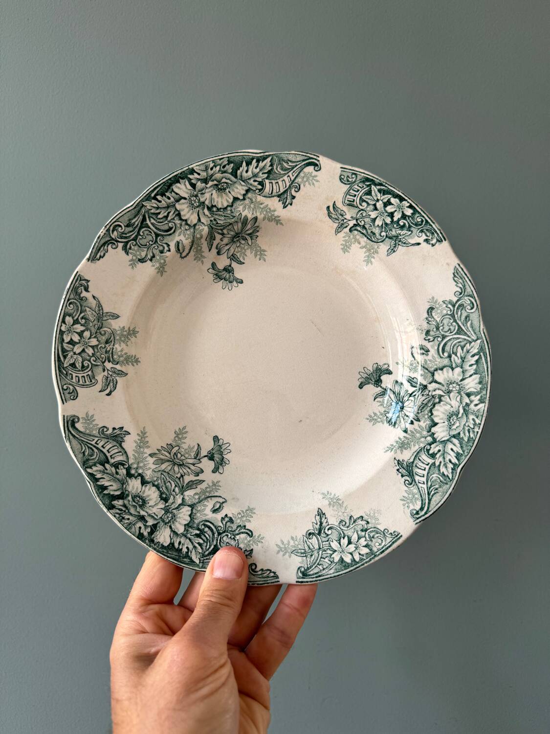 Series of 8 Terre de Fer 1900 soup plates in Onnaing earthenware