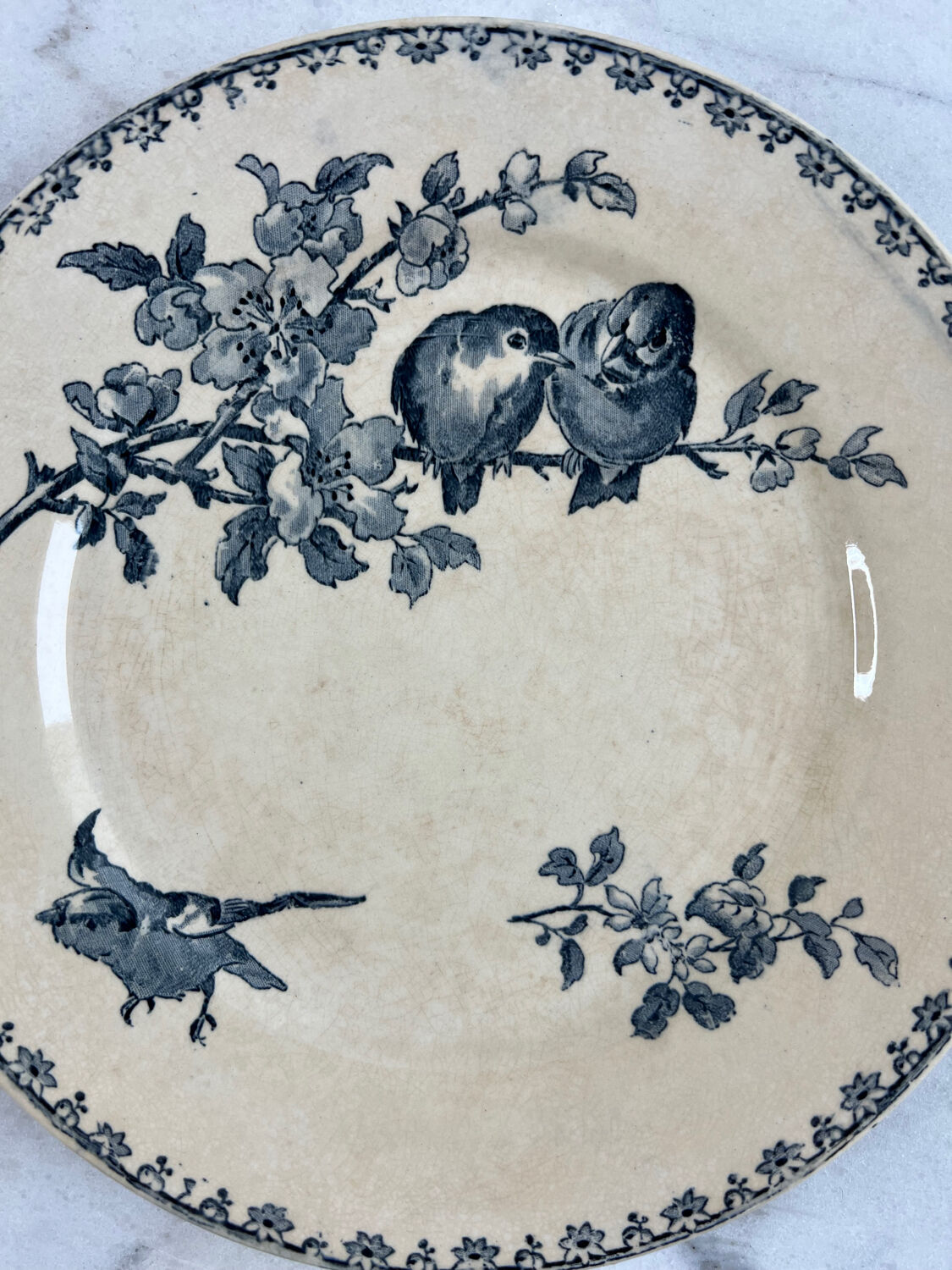 Iron earth plate Sarreguemines favourite