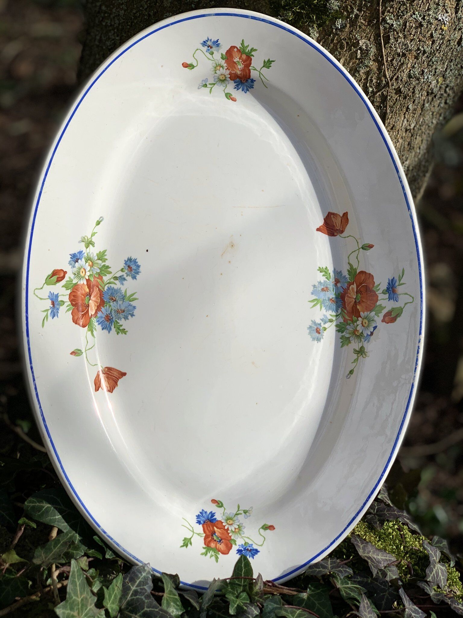 Long old plate in earthenware Salins decoration poppies