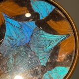 Art Deco butterfly wings catch-all Billère