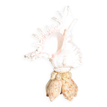 Mid-Century Souvenir Shell Lamp, France 1960s