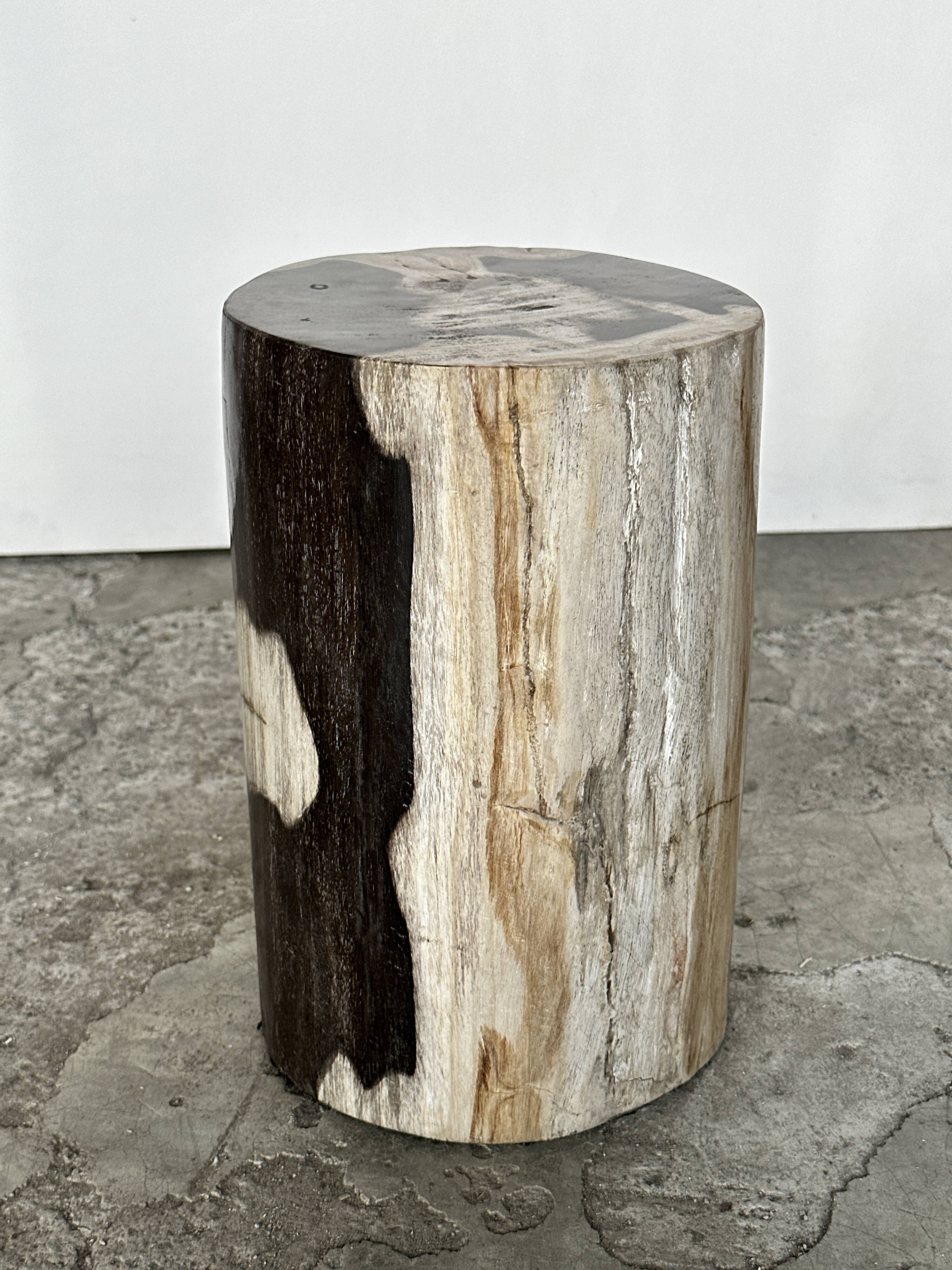 Small black, white and gray petrified wood side table H28cm D:18.5